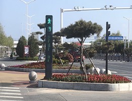 SUCCESSFUL PROJECT CASES IN SOUTH AMERIC